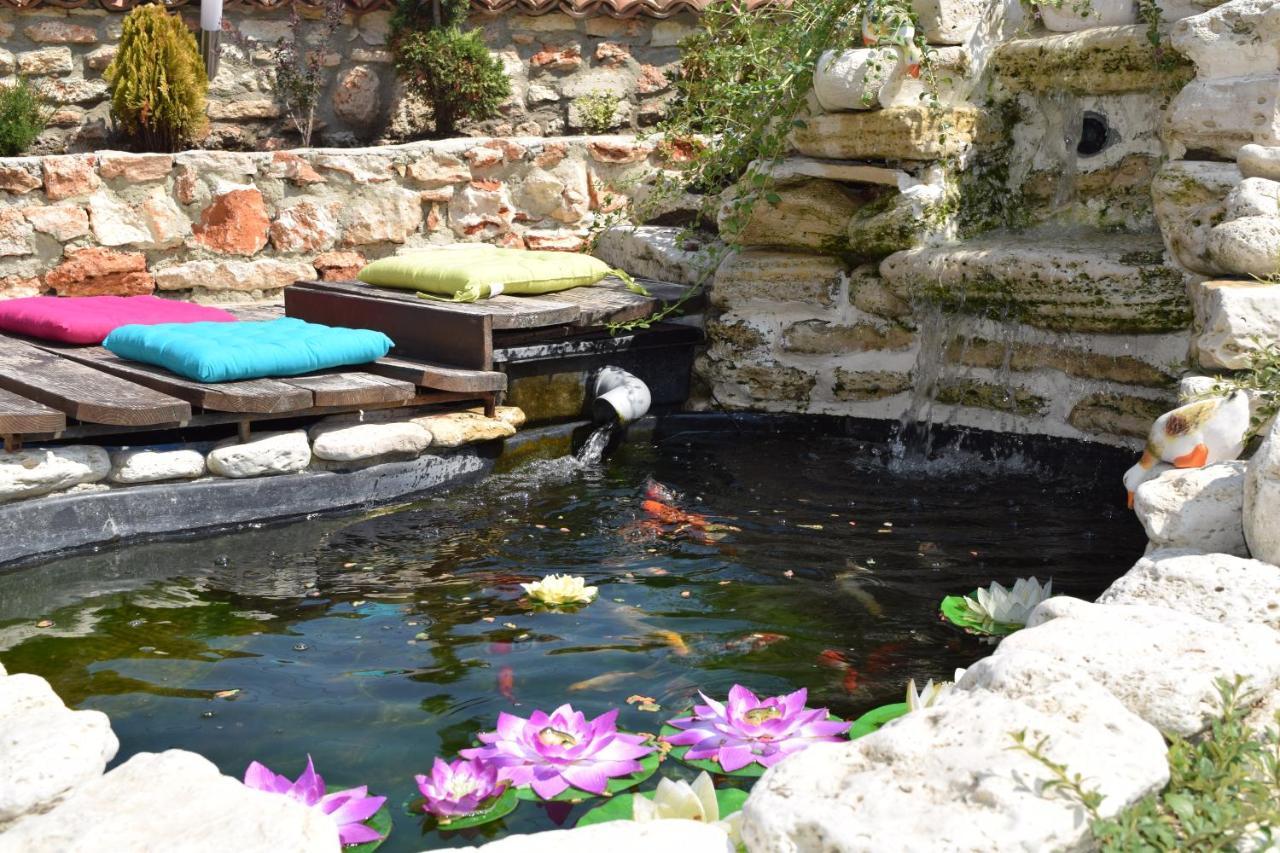 Boutique Villa Rosa Dei Venti بالشيك المظهر الخارجي الصورة